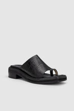 Chaos & Harmony - Augustus Slide, Black Croc