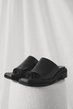 Chaos & Harmony - Augustus Slide, Black Croc