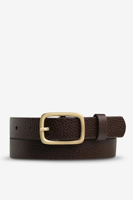 Status Anxiety - Nobody's Fault Belt, Chocolate / Gold